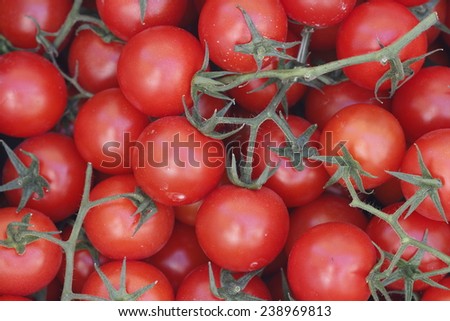Organic cherry tomatoes. Multitude of cherry tomatoes, close-up view