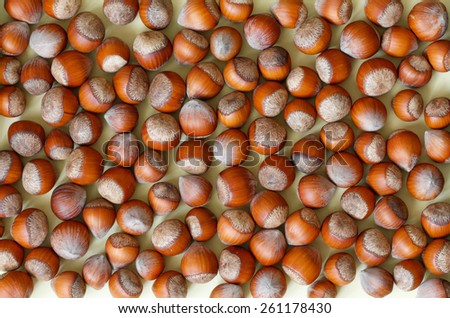 Nuts, hazelnuts as background. Healthy eating vegetarian nut food brown hazelnut.