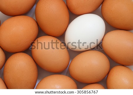Chicken egg background full frame. Background of fresh eggs. Brown and white eggs.