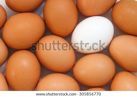 Chicken egg background full frame. Background of fresh eggs. Brown and white eggs.