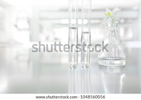 white orchid flower on glass flask and test tube in science cosmetic biology laboratory background