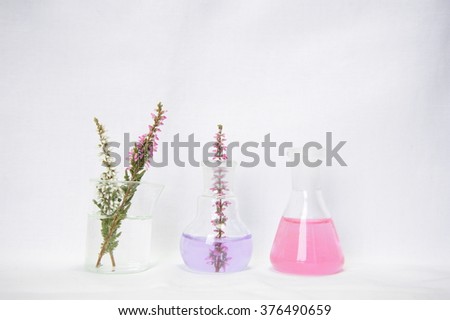 laboratory glassware with flower on white background