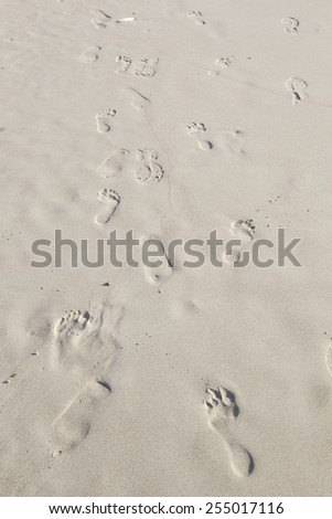 Foot Print On the beach at Chaweng Beach, Koh Samui, Thailand