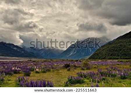 A grassy field with purple flowers sits at the base of a green mountain.