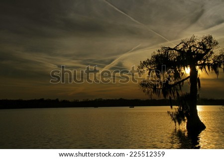 A solitary tree in a body of water during sunset.