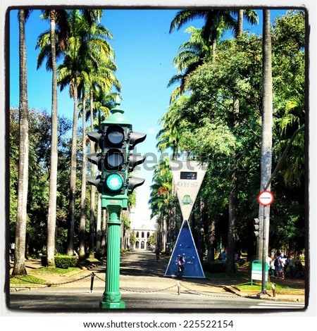 A stoplight and signs at the entrance to a palm tree lined driveway.