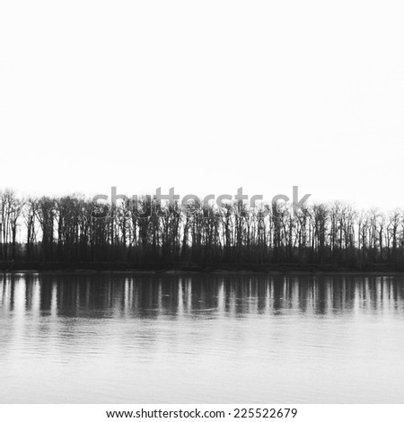 A copse of trees lined up at the side of an expanse of water.