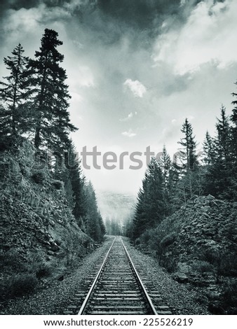 Train tracks running through the middle of a forest.
