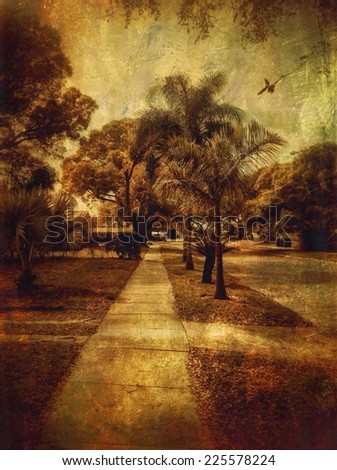 A brown picture of a sidewalk and some trees and palm trees on the sides.