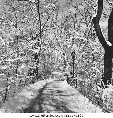 A snowy road lined by a fence encasing snowy trees.