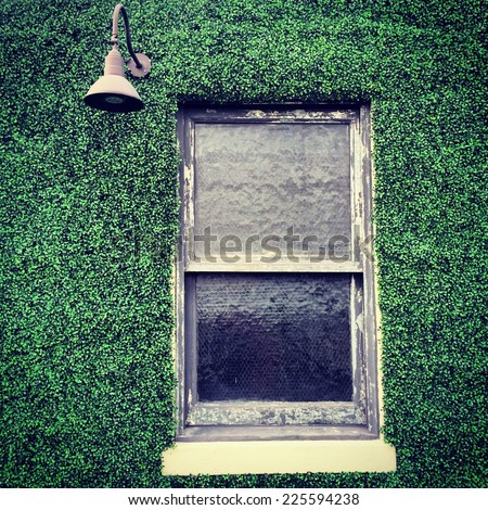 A rustic window with outside lamp on a plant covered wall.