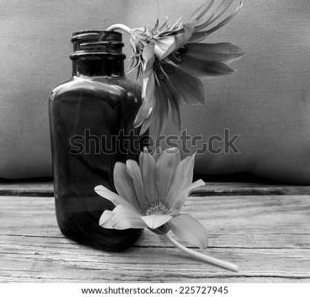Two daisies, one in a small bottle and one resting against the bottle.