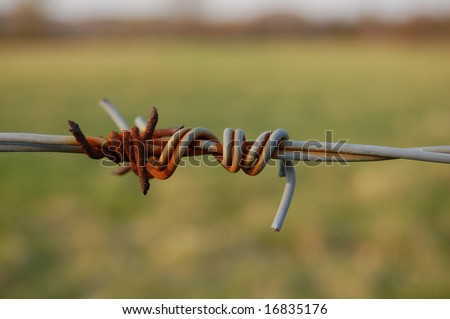 rusted barb wire fence close up