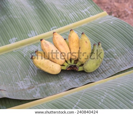 yellow and green banana put on banana leaf