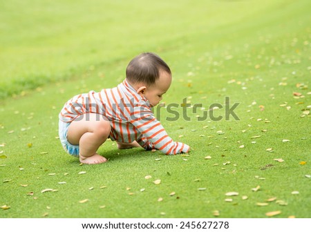 Baby boy play in the garden  , sitting on the green glass field