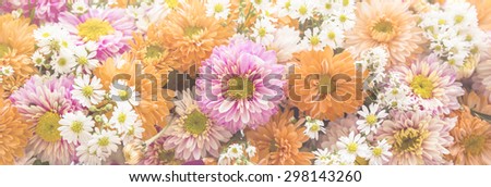 flower backdrop , soft light and sweet color gradient effect