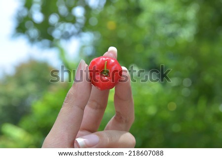 A hand picking a cherry against the trees