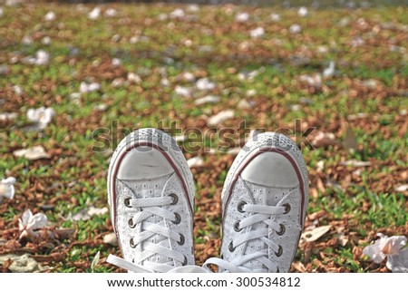 White Sneaker shoes on grass field. Canvas shoes on grass.