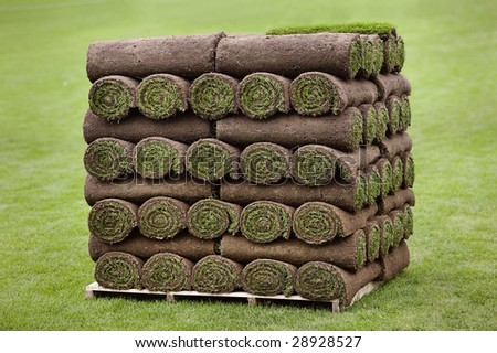 Rolled Turf