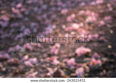 Blurred or defocused  fallen flowers on ground for nature background