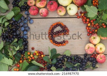 Frame of fruits and berries with \