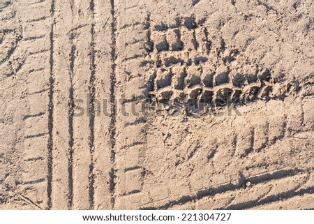 Ribbed tyre traces on dry sand. Background for articles about traveling, transport and ecology