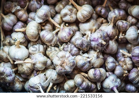 A heap of garlic from the garden
