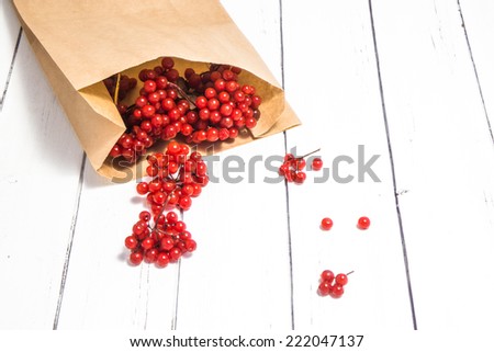 Red fresh juicy viburnum berries in the ecological brown kraft paper package isolated on white wooden vintage board background