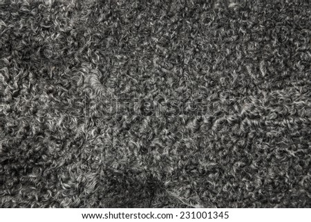 Russian shiny black astrakhan caracul - Lamb fur. Background for winter fashion theme and holiday cards tor new years day