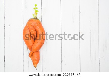 Unusual strange mutation of carrot - curved twisted roots of carrot isolated on a white wooden background