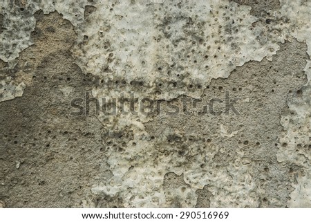 Grunge Background. Brick wall with the whitewash falling off fragment as a background texture