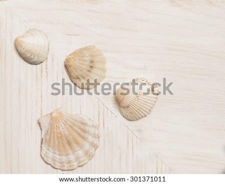Wooden light background with shells. Colored natural wood. Sea and vocation theme