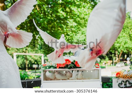 wedding bird