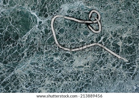 Ebola virus seen under a microscope with epidemic sign
