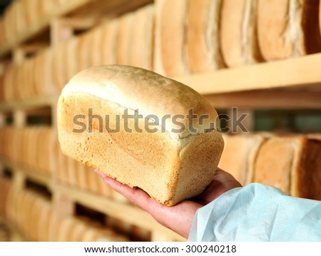 Bread in the man hands Bakery Stocks bread Manufacture of rusks. A loaf of bread in the hand. Manual production of bakery products. Bread by human hands. Man and bread The man on the bread production1