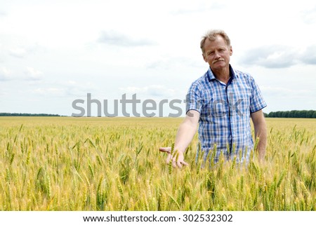 Farmer checking soybean field. The unique technology of growing crops. Farmer sitting in the field on a background of wheat and soybeans. Golf bread. Growing non-GMO soybeans. Eco friendly product.1