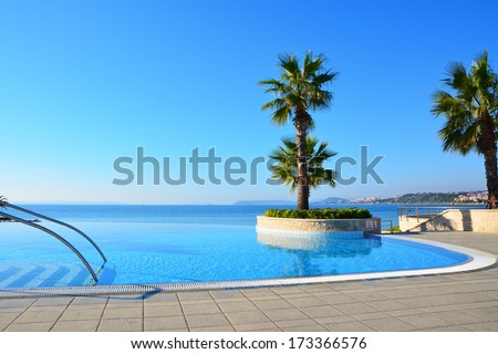 Blue endless swimming pool with palm tree