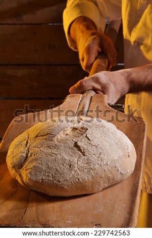 Cook taking out the bread from the oven.Baker holding a fresh bread just taken out of the oven.