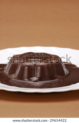 One chocolate pudding on a plate. One chocolate flan in a plate.