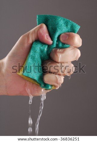 stock photo : Squeezing sponge, squeezing wet sponge.