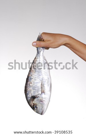 One youg female hand holding a fresh fish. Holding a fish.