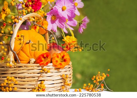 Wicker basket with pumpkins and apples, cosmos flowers,  fall flowers on green background