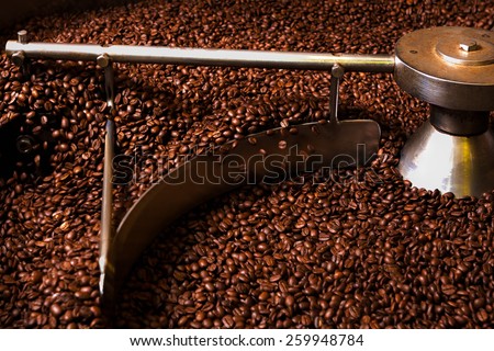 Roasting process of coffee. Coffee beans moved by the rotating shovel inside the hopper for cooling down and screening after roasting. Drum type roaster