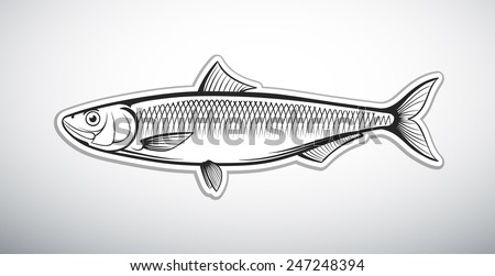 herring fish outline vector illustration herring fish outline vector illustration