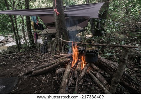 camping in the deep rain forest