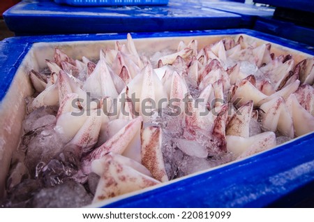 Fresh Squid in blue box. cover with Ice