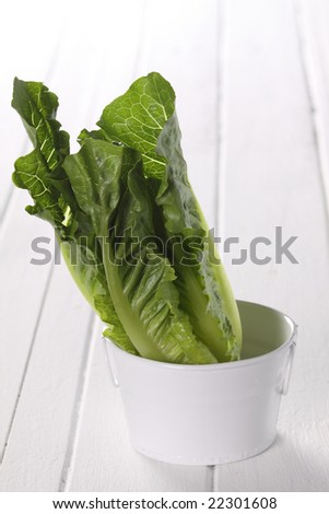 Cos Salad