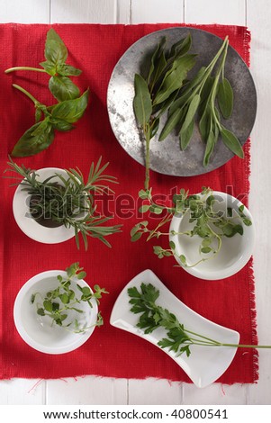 fresh spices and herbs are sweet basil, rosemary, oregano, marjoram, parsley are on a red cotton mat.