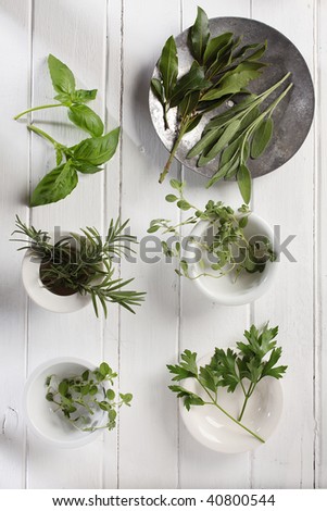 fresh spices and herbs are sweet basil, rosemary, oregano, marjoram, parsley are on a red cotton mat.