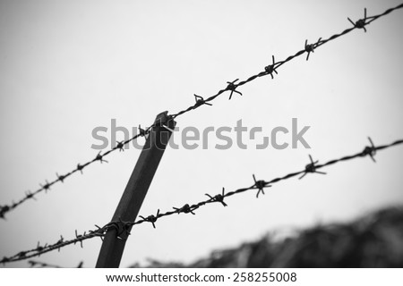 black and white barbed wire with vignette